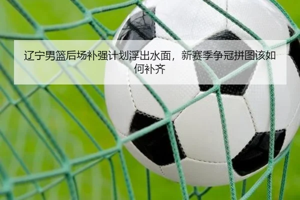 辽宁男篮后场补强计划浮出水面，新赛季争冠拼图该如何补齐 - aiyouxi
